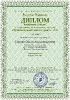 Диплом победителя (I место) XI Всероссийского творческого конкурса 